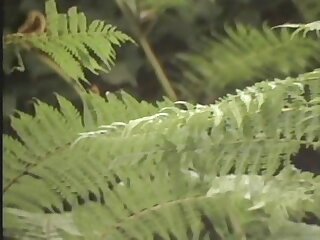 Bareback Classics Vol 1 Disc 3 (1985-1988)