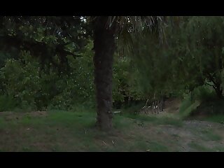 Sacred Band Of Thebes - Part 4