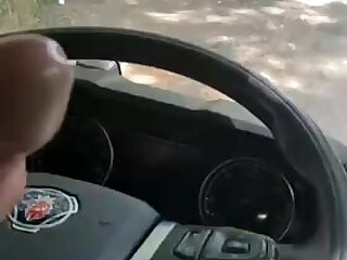 Trucker in his truck