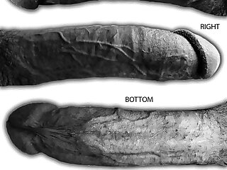 564 monster cock tiktoker Jake Andrich Jakipz Onlyfans porn