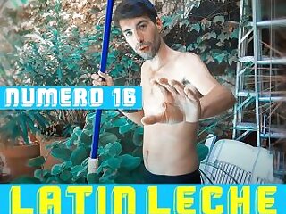 Latin Leche  Numero 16  2018