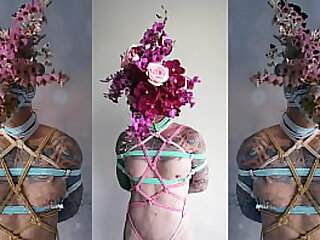 Shibari DaMotta&period; Complete in RED