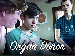 Organ Donor Kyle Connors&comma;Hoss Kado&comma;Levi Rhodes