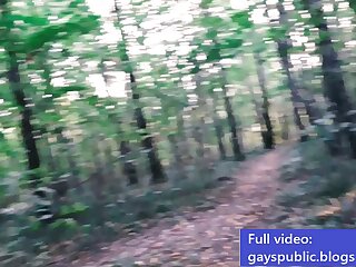 Blowjob and fuck in the park