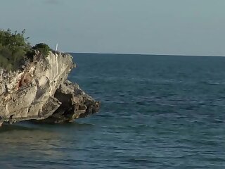 Sex On The Beach (Brent Everett, Eric Clark) 2015