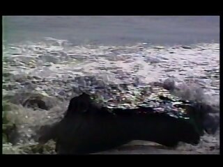 Malibu Pool Boys (1992)