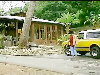 The Carl Hardwick Collection - Part 4