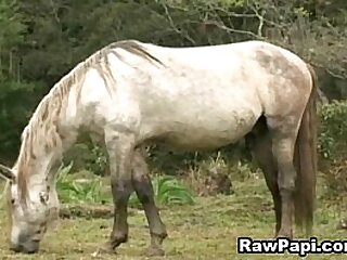 Intense Bareback Fucking With Cute Latino Gay