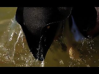 Pirates - A Gay XXX Parody Part 1